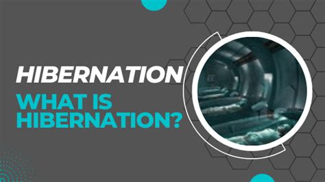 hibernation in humans tagalog|Translate 'Hibernation' into Tagalog .